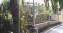 Papageien-Workshop auf Teneriffa