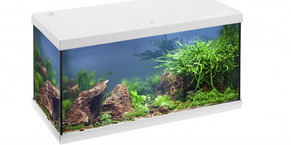 Eheim, aquastar 54 LED