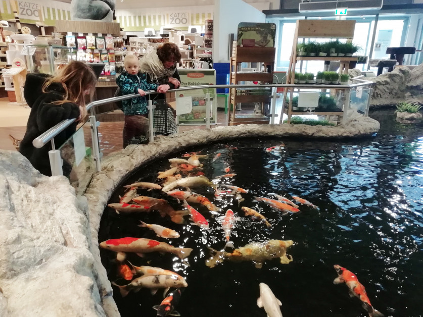 Natur erleben am Teich