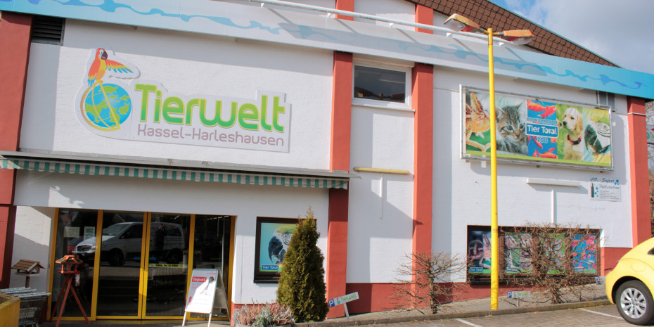 Tierwelt in Kassel
