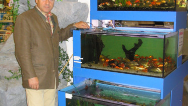 Zooma Salzburg offenbar am Ende