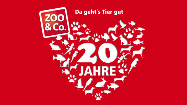 Zoo & Co. 2.0