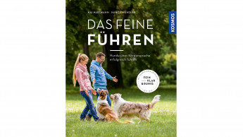 Das feine Führen