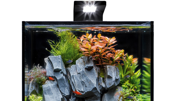 Das neue BlackCube-Aquariumset der Collar Company.