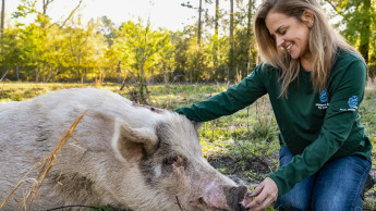 Tierschutz in der Schule gefordert