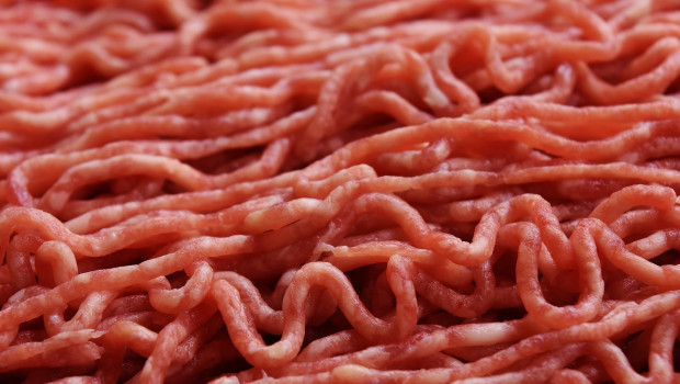 Der Negativtrend in der deutschen Fleischerzeugung geht weiter und beschäftigt auch die Heimtiernahrungsindustrie, die auf Fleischproteine für ihre Futtermittel angewiesen ist.