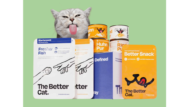 The Better Cat The Better Cat