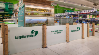 Fressnapf Hockenheim eröffnet Adoptierstube