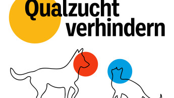 ZZF fordert rechtssichere Kriterienliste