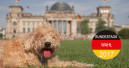 ZZF stellt Wahlprüfsteine online