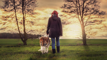 Hunde und Katzen bleiben in Europa die Nr. 1