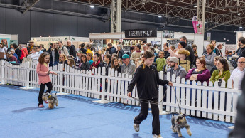 Hund, Katze, Nager, Aquaristik und mehr