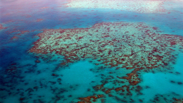Das Great Barrier Reef liegt vor der Küste Queenslands im Nordosten Australiens und gilt das die größte von Lebewesen geschaffene Struktur der Erde. Das Great Barrier Reef liegt vor der Küste Queenslands im Nordosten Australiens und gilt das die größte von Lebewesen geschaffene Struktur der Erde.