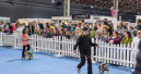 Hund, Katze, Nager, Aquaristik und mehr