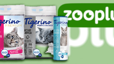 Zooplus und Procter & Gamble kooperieren