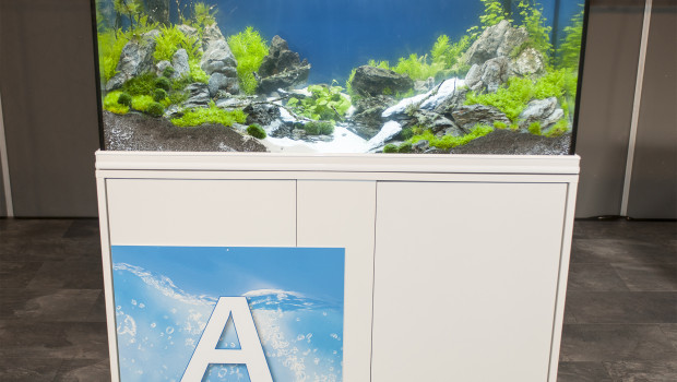 Begeisterte viele Messebesucher: Das erstplatzierte Aquarium von Doris Vollmer. Foto: Gerlach Begeisterte viele Messebesucher: Das erstplatzierte Aquarium von Doris Vollmer. Foto: Gerlach