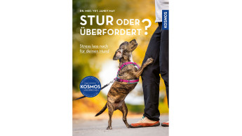 Stur oder überfordert? Stur oder überfordert?