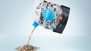 Vögel füttern im Stadtdschungel