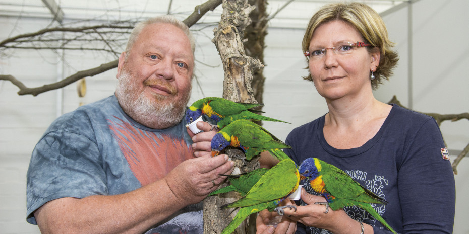 Zoo Zajac,  Vogelabteilung
