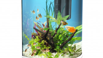"Tetra AquaArt Explorer Line" jetzt in Trendfarbe Weiß