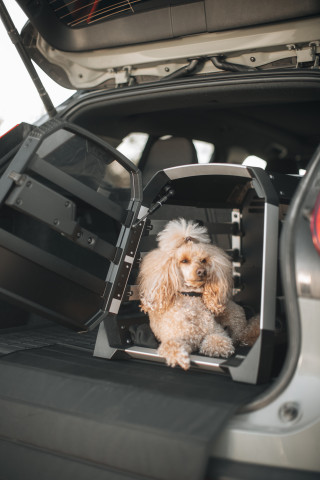 Thule Hundeboxen sind für sichere und bequeme Autofahrten mit Deinem vierbeinigen Freund gemacht und bieten hervorragenden Schutz für Alle.