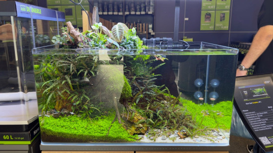 Am Dennerle-Stand gab es wieder faszinierende Aquascapes zu sehen, eingerichtet von Volker Jochum.