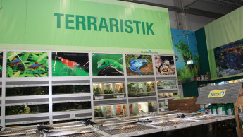 Hagebau beendet Verkauf von Reptilien