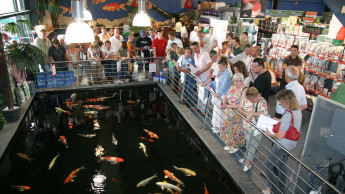 Hohe Erwartungen in die neue Saison