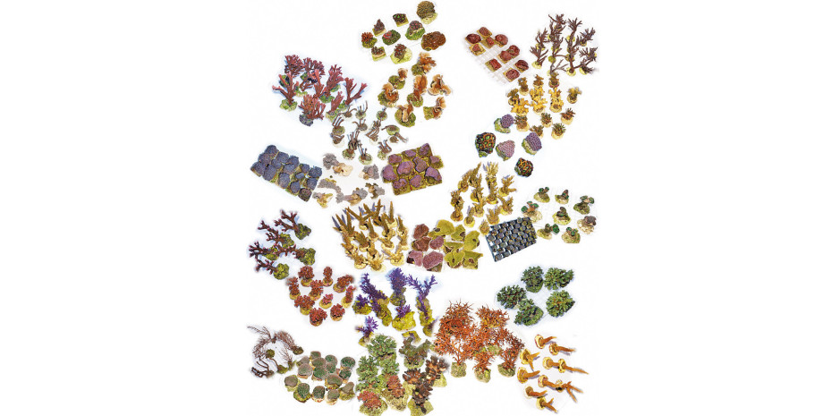 Seit 2008 kultiviert Green Corals Nachtzuchtkorallen von mehr als 100 Arten auf nachhaltige Weise – an Aquarienbedingungen angepasst und gewachsen unter 100% erneuerbaren Energien. Seit 2008 kultiviert Green Corals Nachtzuchtkorallen von mehr als 100 Arten auf nachhaltige Weise – an Aquarienbedingungen angepasst und gewachsen unter 100% erneuerbaren Energien.