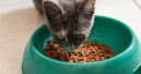 Interquell Petfood füllt fast 430.000 Futternäpfe
