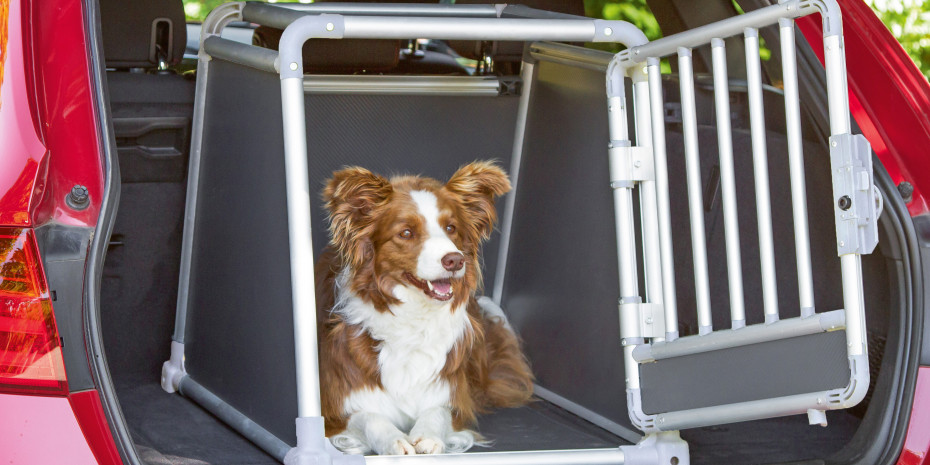 Kerbl, Alu-Transportbox für Hunde