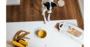 Vegdog launcht drittes Trockenfutter