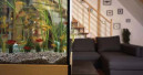 Das Aquarium im Bild