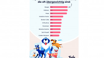 Neue Untersuchung von Tails.com