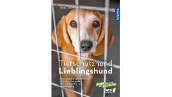 Lieblingshund Tierschutzhund