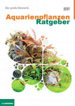 Pflanzen für das Aquarium, Dennerle , Aquarienpflanzen 2020/2021