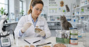 Petfood-Techniker: Zwei Seminare am KIN Lebensmittelinstitut Petfood-Techniker: Zwei Seminare am KIN Lebensmittelinstitut