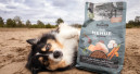 Vielfältige Menues für Hunde