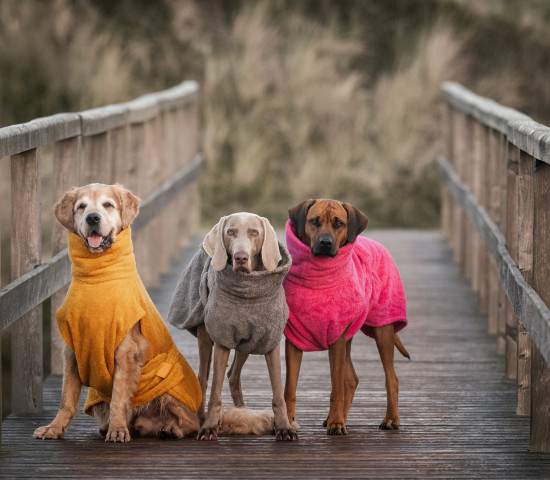 Der Hundebademantel aus Biobaumwolle nimmt Wasser und Dreck auf und sorgt durch seine Saugstärke dafür, dass der Vierbeiner schnell wieder trocken wird.&nbsp;www.lills.store