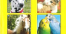 Neuer Qualipet-Katalog