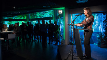 "Kein generelles Importverbot"