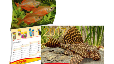 Sera stellt den Wandkalender 2017 vor