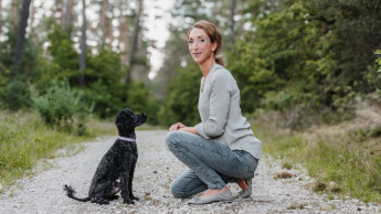 Ein Jahr Rudelreport