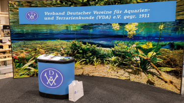 VDA kündigt strategischen Neustart an