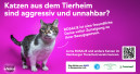 Studie: Unsicherheiten bremsen Tieradoptionen Studie: Unsicherheiten bremsen Tieradoptionen