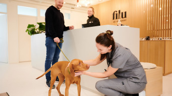 Moderne Tierarztpraxis statt Copyshop