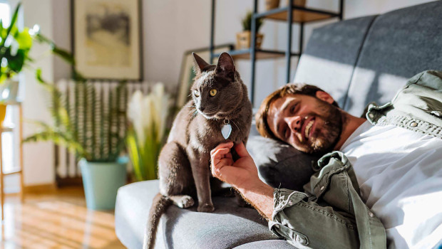Cat Dads“ sind im Trend. Cat Dads“ sind im Trend.