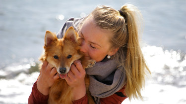 ZooRoyal belegt: Hunde sind wichtiger denn je