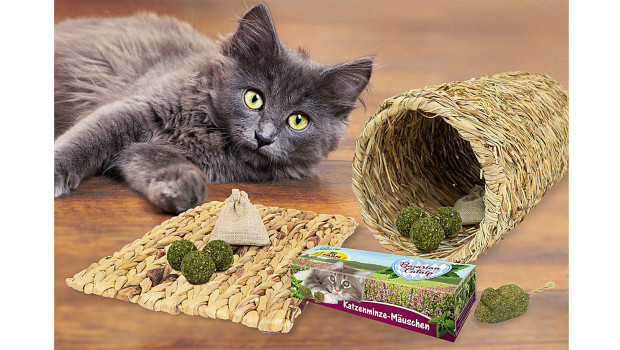 JR Farm, Bavarian Catnip Katzenminze-Mäuschen JR Farm, Bavarian Catnip Katzenminze-Mäuschen