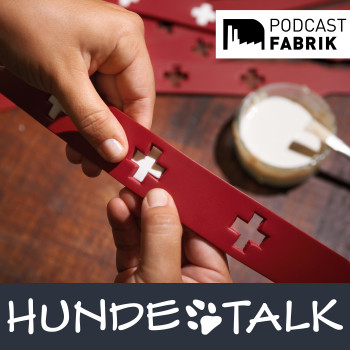 Der Podcast kann unter anderem bei Spotify und Apple Podcasts angehört werden.